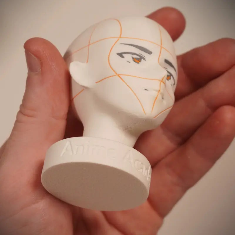 Anime Academy - Head Reference Models - Set of 2 Detailed Heads for Artistic Reference Angles and Lighting