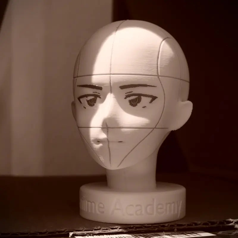 Anime Academy - Head Reference Models - Set of 2 Detailed Heads for Artistic Reference Angles and Lighting