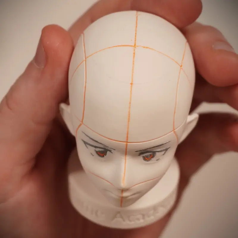 Anime Academy - Head Reference Models - Set of 2 Detailed Heads for Artistic Reference Angles and Lighting