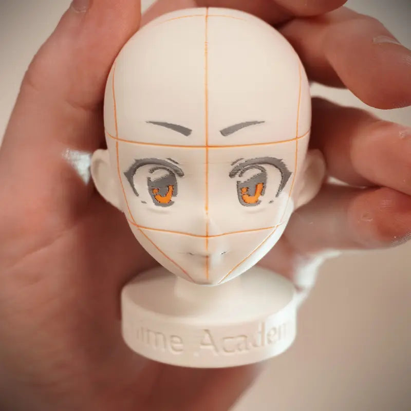 Anime Academy - Head Reference Models - Set of 2 Detailed Heads for Artistic Reference Angles and Lighting