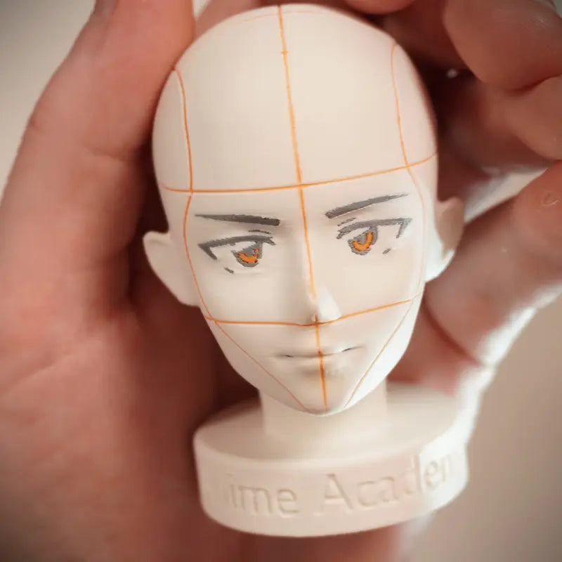 Anime Academy - Head Reference Models - Set of 2 Detailed Heads for Artistic Reference Angles and Lighting